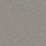 Basics - 705