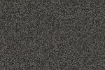 Basics - 606