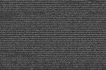 Stripes - 303