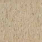 AFP_AS_AU-SEIS-51907-mocha_big