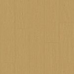 afp_pac_K6128-01A_big