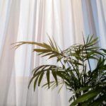cortinas marzo 23_9